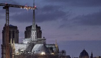 Trump kommt am Wochenende zur Notre-Dame-Einweihung