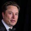 Le patron du constructeur automobile américain Tesla, Elon Musk, le 13 avril 2024 à Los Angeles