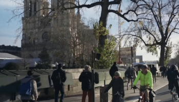 Réouverture de Notre-Dame : les réservations en ligne ouvrent ce mardi