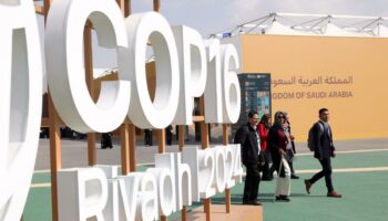 COP16 : les sécheresses coûtent près de 300 milliards d’euros par an, alerte l’ONU