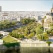 Notre-Dame : pilier d’un quartier de Paris en pleine mutation