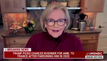 Claire McCaskill laments that Hunter Biden pardon gives 'ammunition' to Republicans: 'I just hate it'