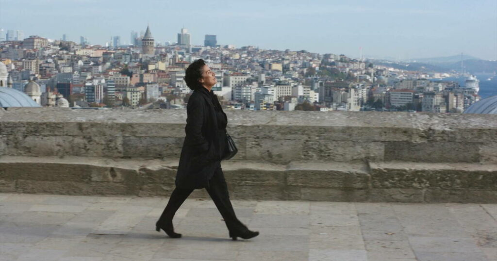 «Crossing Istanbul» de Levan Akin, traversée du désert