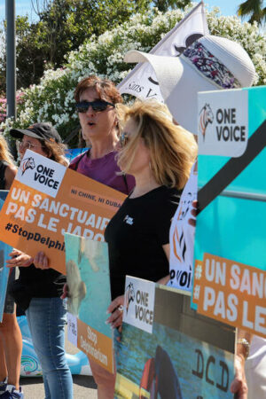 A Antibes, Marineland projette une «fermeture définitive» le 5 janvier liée à l’interdiction des spectacles de cétacés