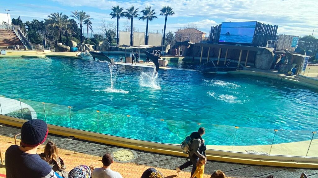 Fermeture de Marineland : "Je suis très triste", confie le directeur du parc d'Antibes