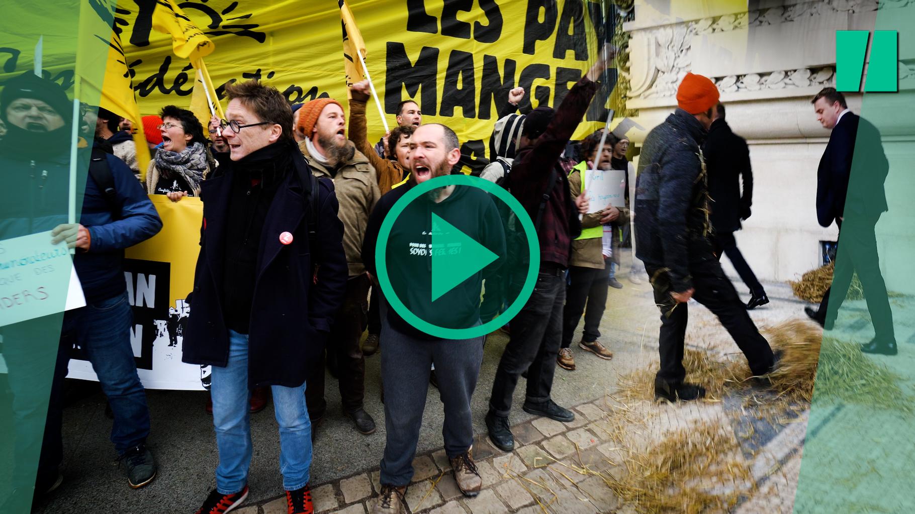 À Paris devant le Grand Palais, l’action choc de la Confédération paysanne contre les géants du commerce des céréales