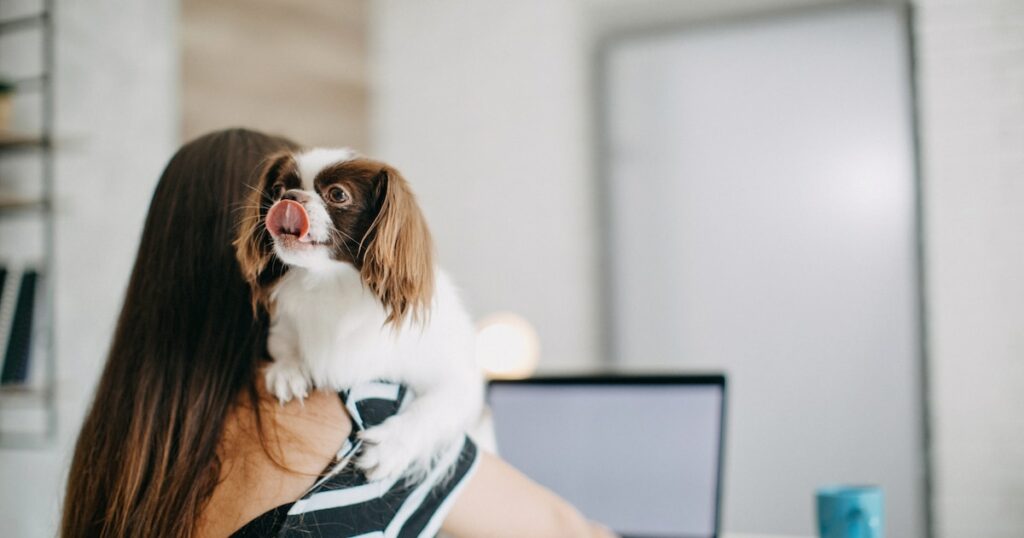 Salariées chien au travail management