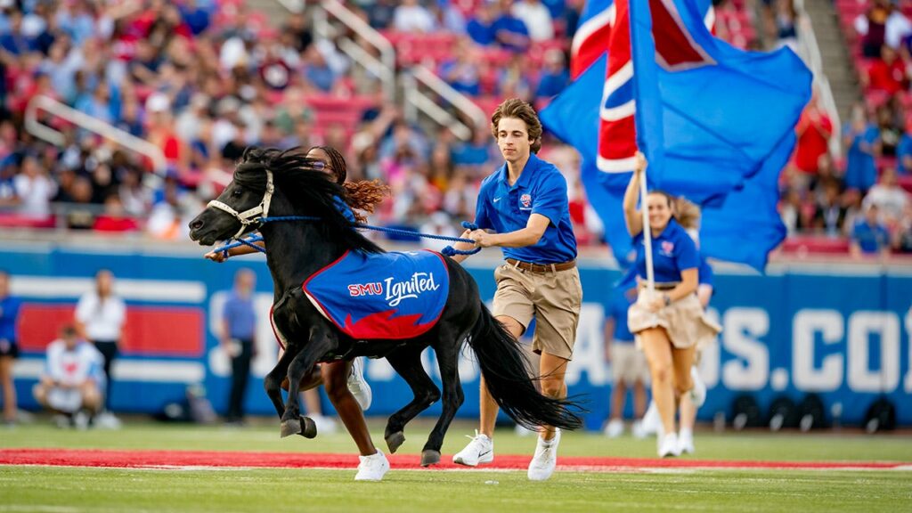 PETA calls on SMU to end live mascot program ahead of Peruna’s appearance ACC title game