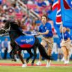 PETA calls on SMU to end live mascot program ahead of Peruna’s appearance ACC title game