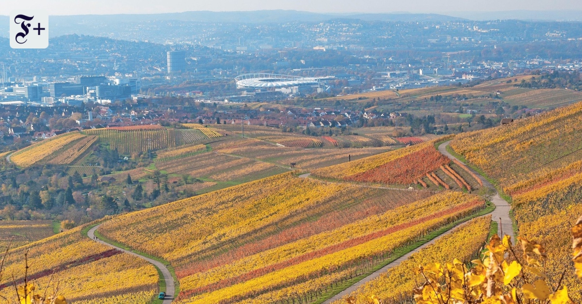 Reise zu den Winzern rund um Stuttgart