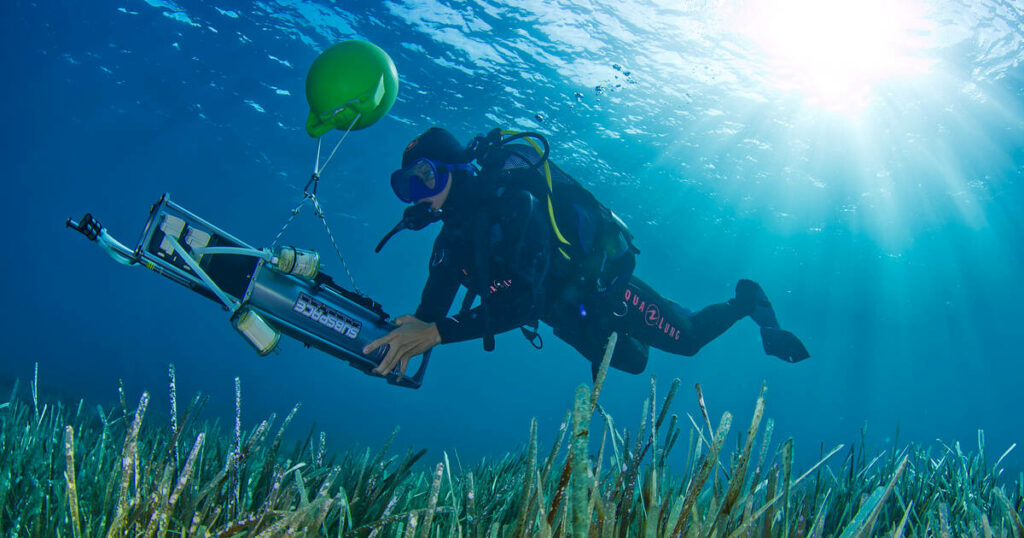 La faune marine de la Méditerranée révélée par son ADN