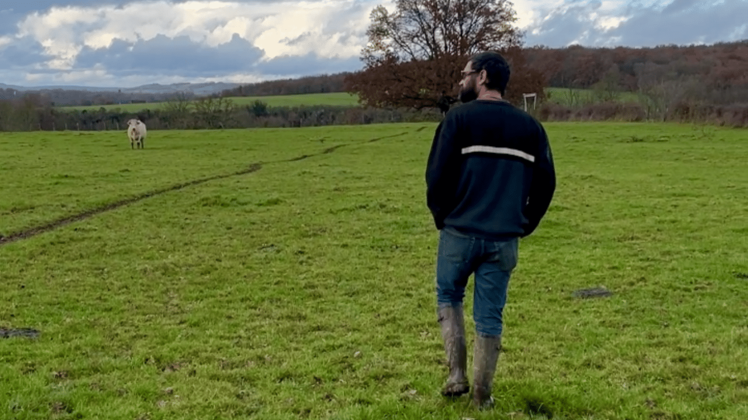 TÉMOIGNAGE. Colère des agriculteurs : "Ce ne sont pas les normes qui tuent les paysans, c'est le manque de revenu", selon un éleveur membre de la Confédération paysanne