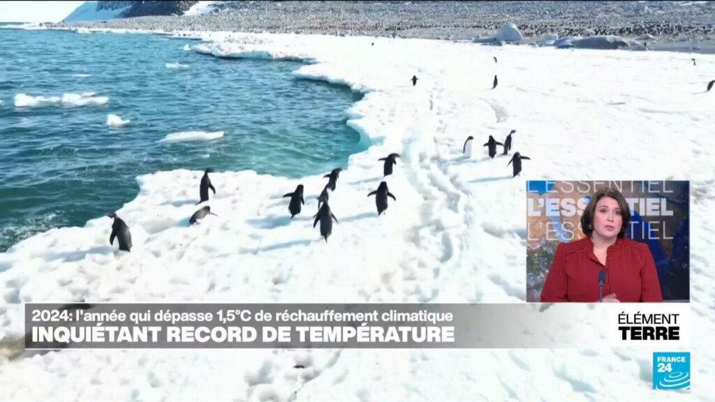 L'année 2024 sera la première à dépasser  1,5°C de réchauffement planétaire