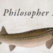 Prix Bookseller : «le Poisson philosophe» élu titre de livre le plus bizarre de l’année au Royaume-Uni