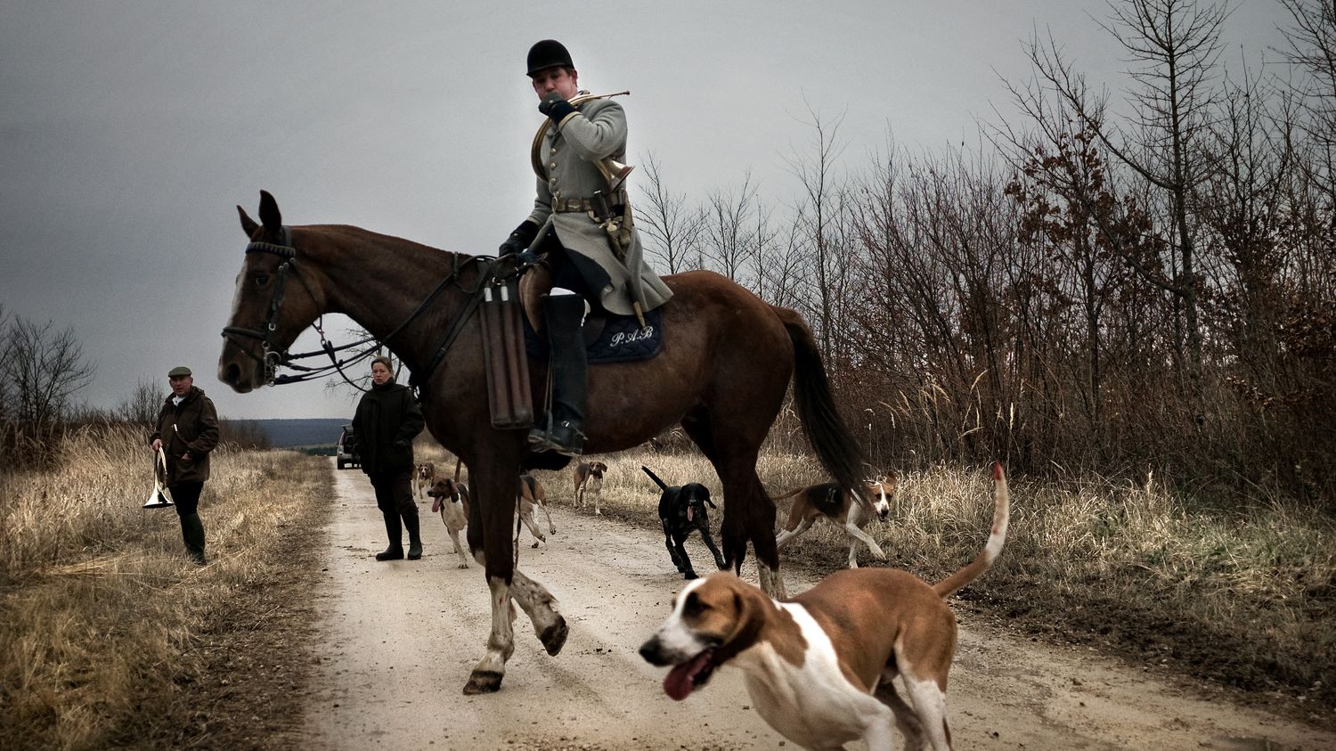 Chasse à courre : enquête interne ouverte après l'abattage suspect d'un cerf dans l'Orne