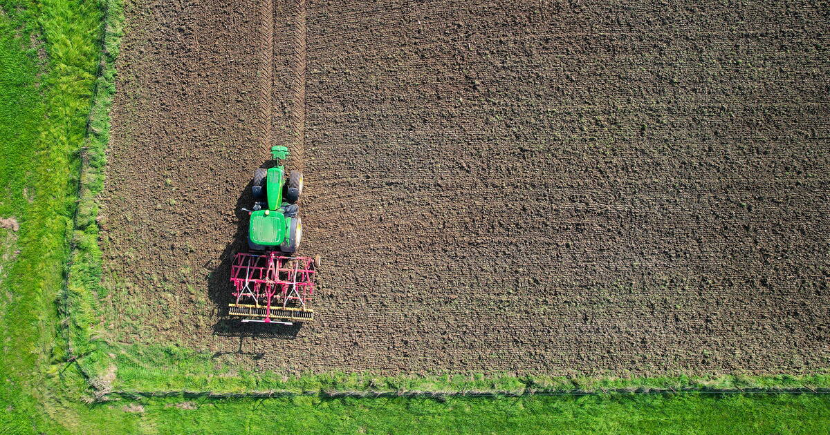 Glyphosate : la justice de l’UE saisie contre l’autorisation de l’herbicide jusqu’en 2033