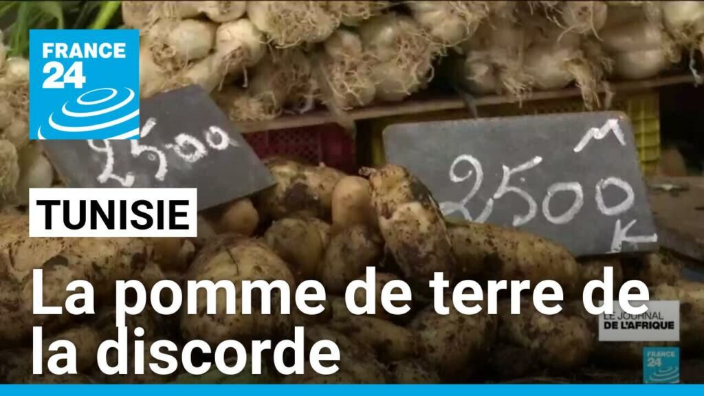 Tunisie : la pomme de terre de la discorde