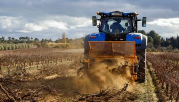 Colère des agriculteurs : vers "une mobilisation totalement différente" après la censure du gouvernement