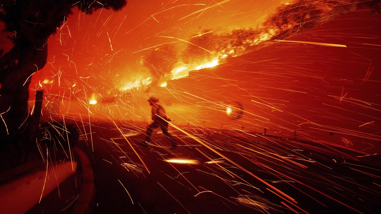 Kalifornien: Waldbrand in Malibu außer Kontrolle – auch Promis flüchten