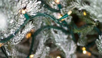 Décorations de Noël : attention au risque d'incendie !