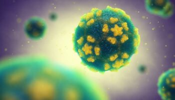 Des traces de poliovirus détectées dans plusieurs pays européens intriguent les scientifiques