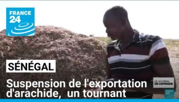 Sénégal : suspension de l'exportation d'arachide, un tournant pour l'agriculture