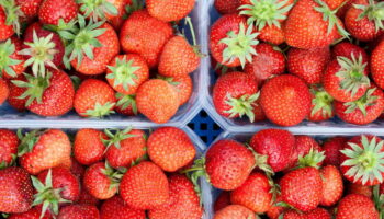 Des émojis fraises inondent l’Instagram de Michel-Edouard Leclerc pour dénoncer la vente du fruit dans ses supermarchés en hiver