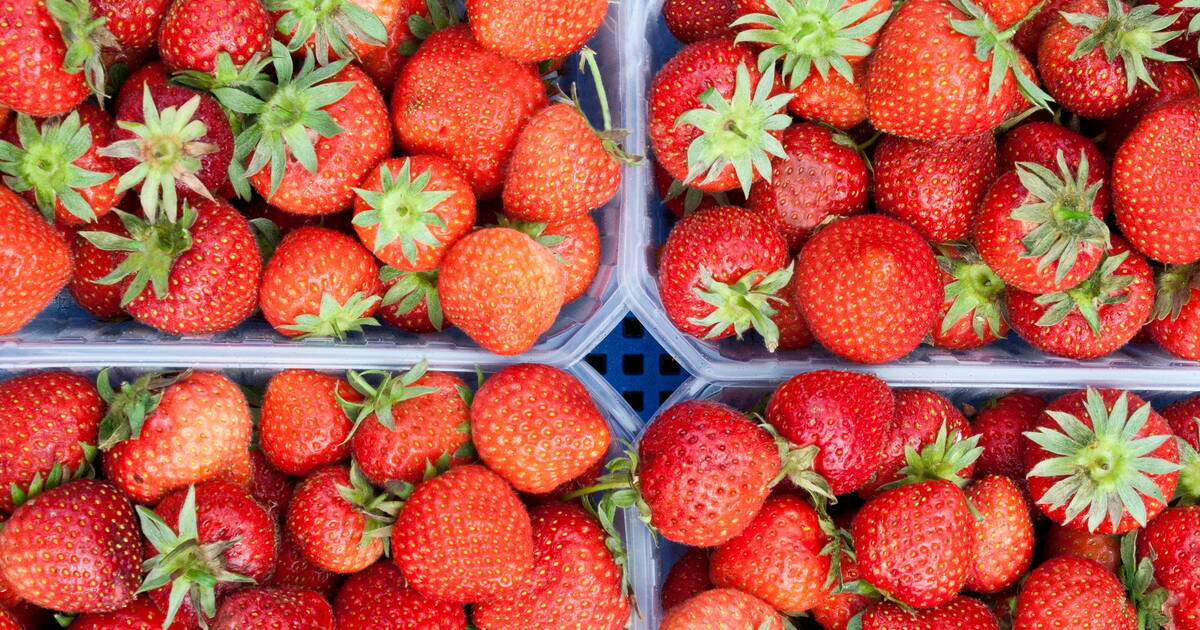 Des émojis fraises inondent l’Instagram de Michel-Edouard Leclerc pour dénoncer la vente du fruit dans ses supermarchés en hiver