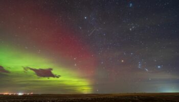 The Geminids being observed from Canada last year. Pic: Alan Dyer / VWPics/ AP