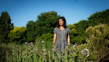 Inès Léraud raconte un immense gâchis : le remembrement