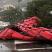 Cyclone Chido à Mayotte : toits arrachés, habitations dévastées, arbres brisés... L'archipel frappé par des vents destructeurs