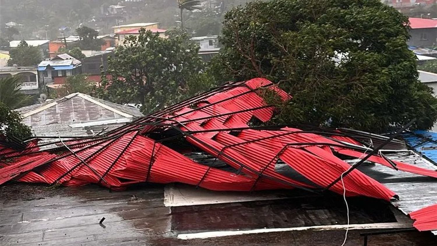 Cyclone Chido à Mayotte : toits arrachés, habitations dévastées, arbres brisés... L'archipel frappé par des vents destructeurs