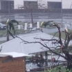 Cyclone Chido à Mayotte : une réunion de crise à Matignon ce samedi à 19 heures autour de François Bayrou