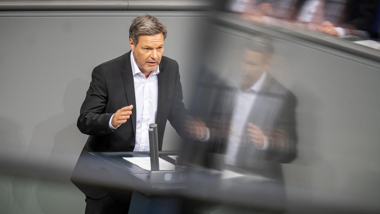 Steuern: Robeck Habeck kann sich eine Milliardärssteuer vorstellen