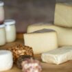 "Fromages", avec un "s" tant il y en a pour vos repas de fêtes