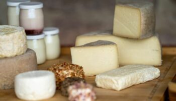 "Fromages", avec un "s" tant il y en a pour vos repas de fêtes