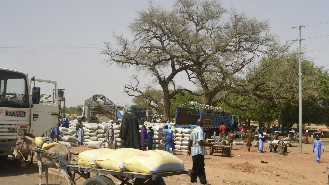 Au Niger, 39 villageois "assassinés" dans une double attaque près du Burkina Faso