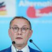 AfD: Chrupalla fordert Anerkennung Russlands als Sieger des Ukrainekriegs