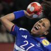 DIRECT. France-Hongrie : les Bleues veulent se consoler avec la 3e place... Suivez la petite finale de l'Euro de handball