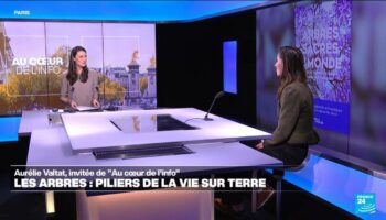 Aurélie Valtat: "On profite autant de l'arbre que lui  profite de nous en le protégeant."