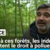 Ces agriculteurs français plantent des bambous pour vendre aux industriels le droit de polluer