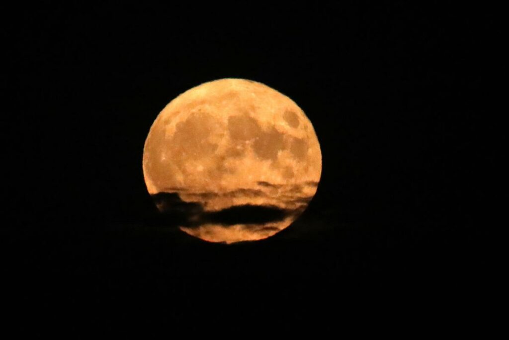 Y a-t-il vraiment plus de naissances les nuits de pleine lune ?