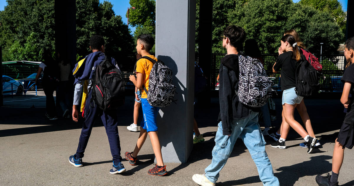 Stages de troisième : «Parfois, le stagiaire qui a l’air perdu ou insolent n’ose même pas demander où sont les toilettes»