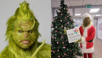 Grinch impersonator: ‘I eat raw onion for the character – I want Jim Carrey’s job’