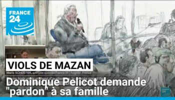 Procès des viols de Mazan : Dominique Pelicot demande "pardon"