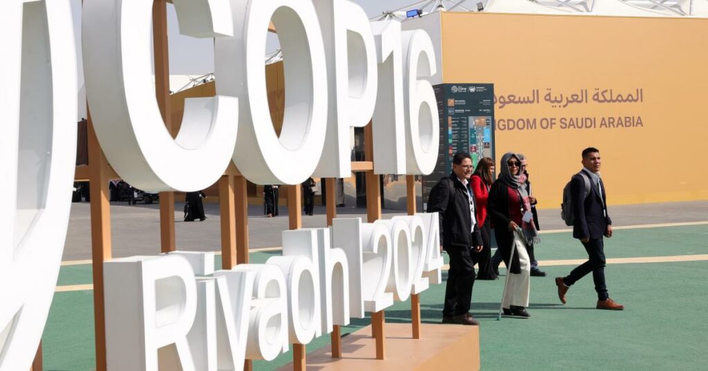 À Riyad, la COP16 s’achève sans accord contraignant sur la sécheresse