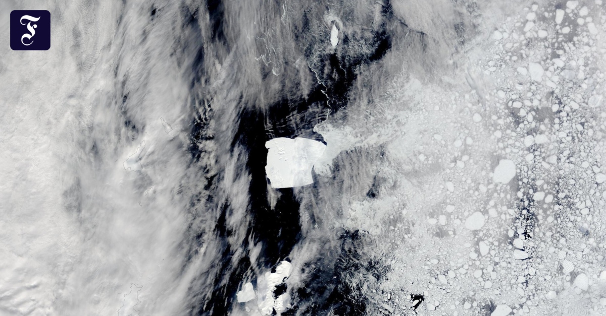 Antarktis: Größter Eisberg der Welt setzt sich in Bewegung
