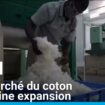 Au Bénin, les investisseurs attirés par un marché du coton en pleine expansion