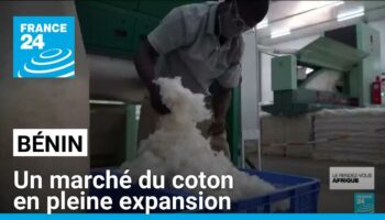 Au Bénin, les investisseurs attirés par un marché du coton en pleine expansion