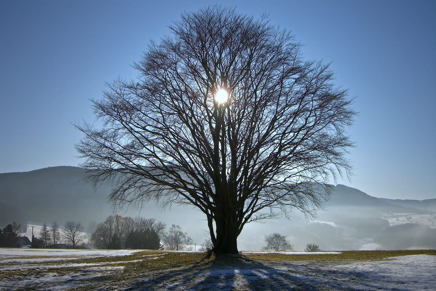 Solstice d'hiver 2024 : la date approche, que signifie le phénomène ?